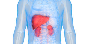 Liver Function Screening